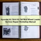 Hyundai HL730-9 HL730TM-9 Wheel Loader Service Repair Workshop Manual Download PDF