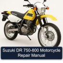 Suzuki DR 750-800 Motorcycle Repair Manual