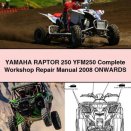 Yamaha RAPTOR 250 YFM250 Complete Workshop Repair Manual 2008 ONWARDS
