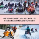 HYOSUNG COMET 250 & COMET 125 Service Repair Manual