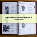 Molecular Genetic Modification of Eucaryotes