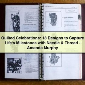 Quilted Celebrations: 18 Designs to Capture Life‘s Milestones with Needle & Thread-Amanda Murphy