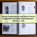 Human Organizations and Social Theory: Pragmatism Pluralism and Adaptation-Murray J. Leaf