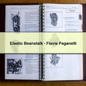 Elastic Beanstalk-Flavia Paganelli