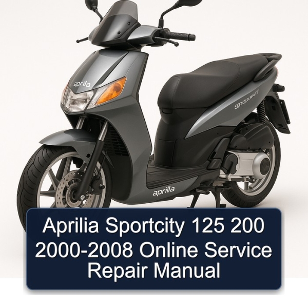 Aprilia Sportcity 125 200 2000-2008 Online Service Repair Manual