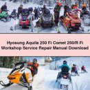 Hyosung Aquila 250 Fi Comet 250/R Fi Workshop Service Repair Manual