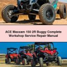 ACE Maxxam 150 2R Buggy Complete Workshop Service Repair Manual