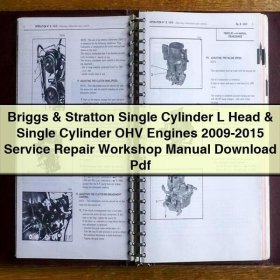 Briggs & Stratton Single Cylinder L Head & Single Cylinder OHV Engines 2009-2015 Service Repair Workshop Manual Pdf