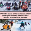 HYOSUNG Comet GT 125 and Comet GT 250 Motorcycle Workshop Manual/Repair Manual/Service Manual download