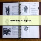 Networking for Big Data