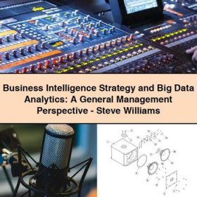 Business Intelligence Strategy and Big Data Analytics: A General Management Perspective-Steve Williams