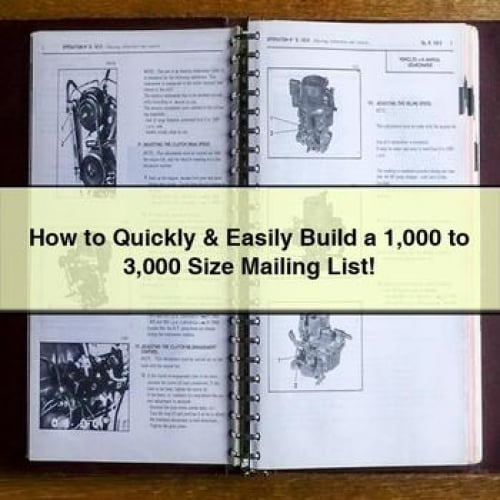 How to Quickly & Easily Build a 1 000 to 3 000 Size Mailing List