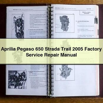 Manual de reparación y servicio de fábrica de Aprilia Pegaso 650 Strada Trail 2005