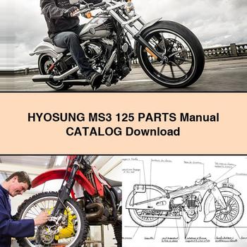 Catálogo de manuales de piezas de HYOSUNG MS3 125