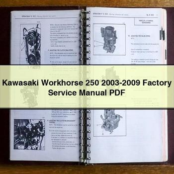 Manuel de réparation et d'entretien d'usine Kawasaki Workhorse 250 2003-2009