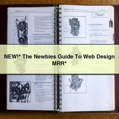 NEW* The Newbies Guide To Web Design MRR*