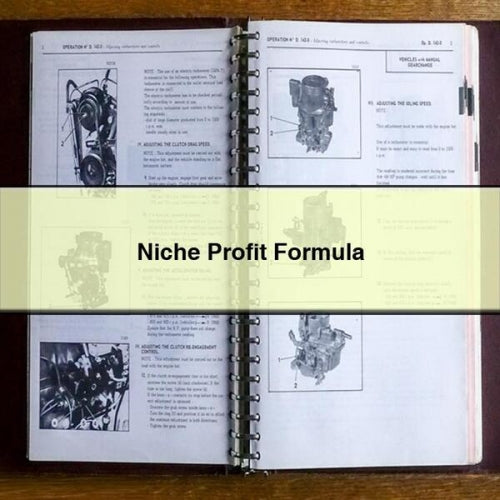 Niche Profit Formula