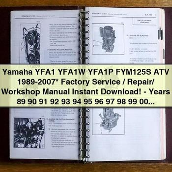 Yamaha YFA1 YFA1W YFA1P FYM125S ATV 1989-2007  Factory Service/Repair/ Workshop Manual -Years 89 90 91 92 93 94 95 96 97 98 99 00 01 02 03 04 05 06 07