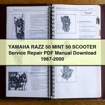 Manual de reparación y servicio del scooter Yamaha RAZZ 50 MINT 50 1987-2000