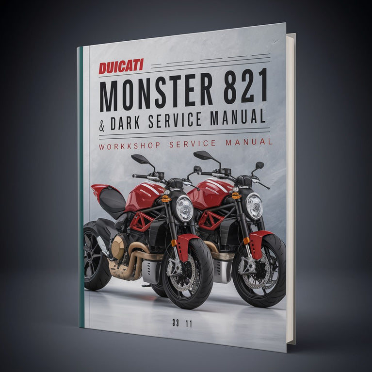 DUCATI MONSTER 821 & DARK BIKE Workshop Service Repair Manual