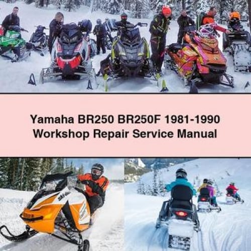 Yamaha BR250 BR250F 1981-1990 Workshop Repair Service Manual PDF Download